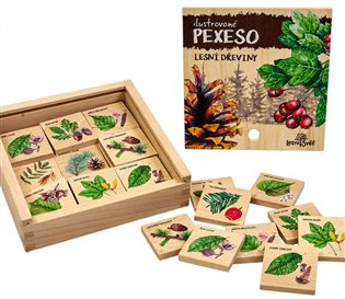 Dřevěné edukační pexeso klasické - lesní dřeviny