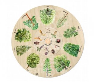 Otočné kolo - Přiřaď plod!