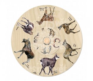 Otočné kolo - Přiřaď paroží!