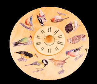 Otočné kolo - Přiřaď lesní ptáky!