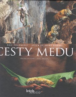 Cesty medu koupíte na Kosmas.cz