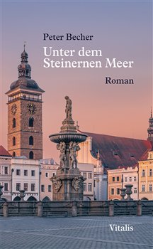 Kniha Unter dem Steinernen Meer