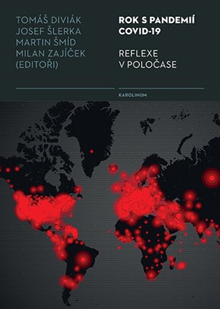 Rok s pandemií covid-19 Reflexe v poločase