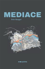 Mediace - Petr Bazger