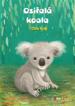 Osiřelá koala koupíte na Kosmas.cz