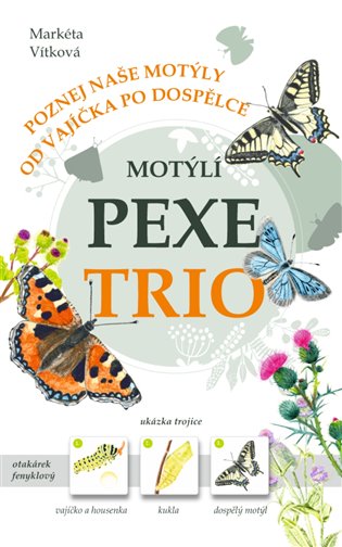 Motýlí pexetrio - Markéta Vítková