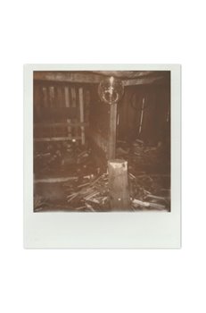 Fotopast koupíte na Kosmas.cz