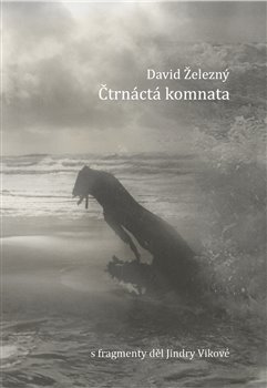 Čtrnáctá komnata koupíte na Kosmas.cz