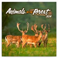 Poznámkový kalendář Zvířátka z lesa 2024