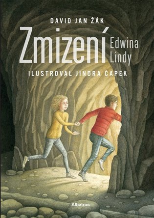 Zmizení Edwina Lindy - David Jan Žák