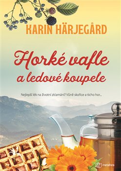 Horké vafle a ledové koupele koupíte na Kosmas.cz