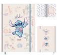 Ob�lka knihy Di�� 2024 - Lilo a Stitch