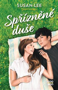 Spřízněné duše - Susan Lee