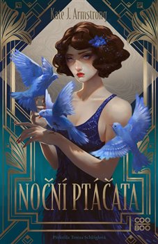 Noční ptáčata koupíte na Kosmas.cz