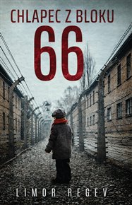 Chlapec z bloku 66 - Limor Regev