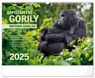 Nástěnný kalendář Impozantní gorily 2025 - 