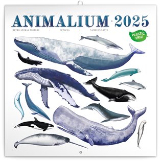 Poznámkový kalendář Animalium 2025 - 