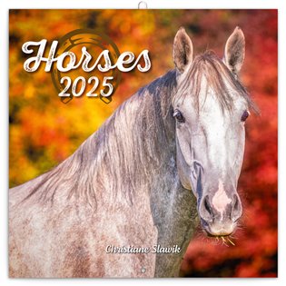 Poznámkový kalendář Koně – Christiane Slawik 2025 - 