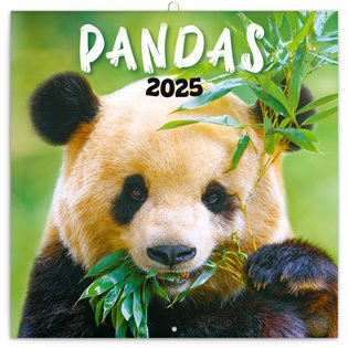Poznámkový kalendář Pandy 2025 - 