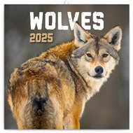 Poznámkový kalendář Vlci 2025