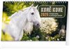 Oblka knihy Stolní kalendář Koně – Kone CZ/SK 2025