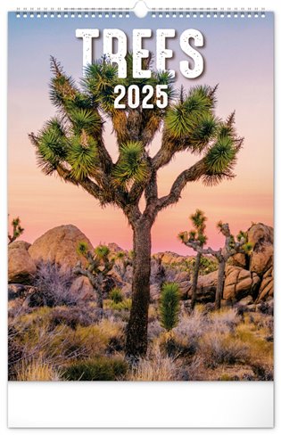 Nástěnný kalendář Stromy 2025