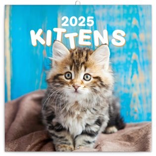 NOTIQUE Nástenný poznámkový kalendár Kittens (Mačiatka) 2025
