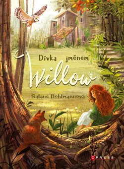 Kniha Dívka jménem Willow