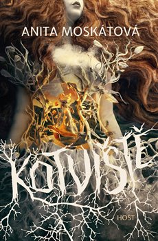 Kotviště koupíte na Kosmas.cz