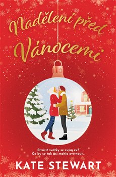 Kniha Nadělení před Vánocemi