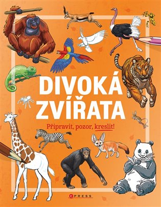 Divoká zvířata - kolektiv