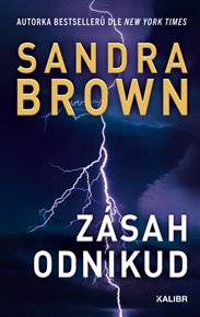 Zásah odnikud - Sandra Brown