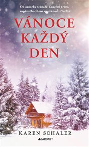 Vánoce každý den - Karen Schaler
