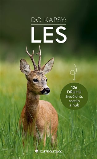 Les - Do kapsy: 126 živočichů, rostlin a hub - Ute Wilhelmsenová