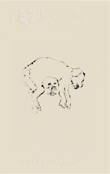 Vzteklina - Apolena Vybíralová