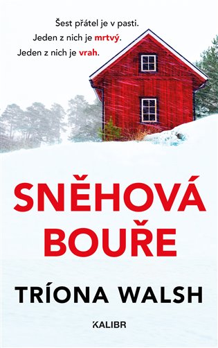 Sněhová bouře - Tríona Walsh