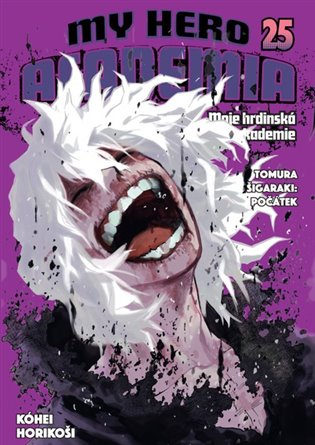 Kniha My Hero Academia - Moje hrdinská akademie 25: Tomura Šigaraki: Počátek