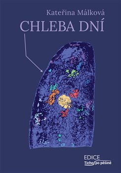 Chleba dní koupíte na Kosmas.cz