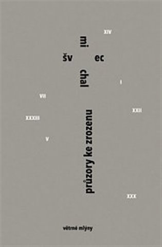 Průzory ke zrozenu - Michal Švec