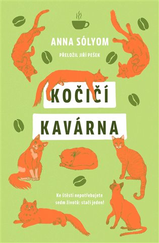 Kočičí kavárna - Anna Sólyom