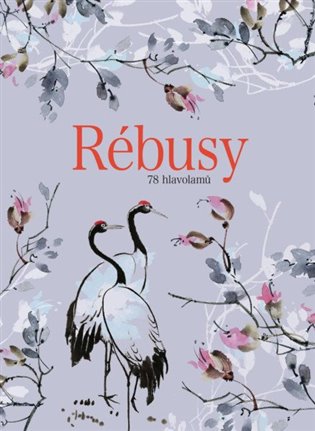 Rébusy: 78 hlavolamů - 