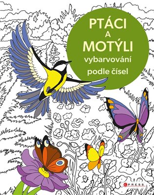 Vybarvování podle čísel: Ptáci a motýli -  kolektiv
