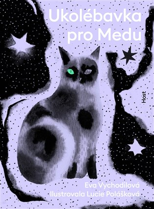 Ukolébavka pro Medu - Eva Vychodilová