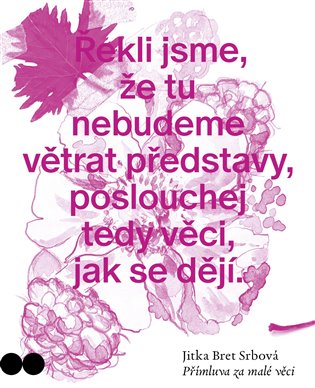 Přímluva za malé věci - Jitka Bret Srbová