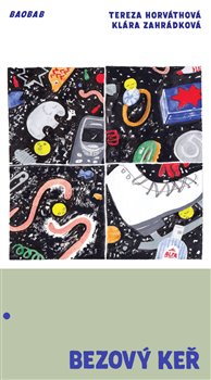 Bezový keř koupíte na Kosmas.cz