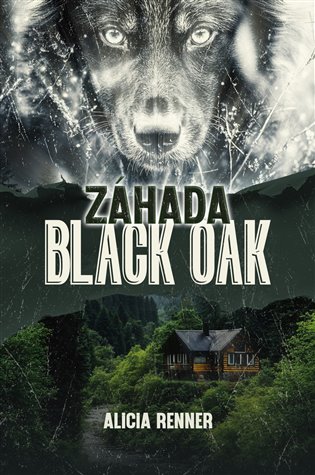 Záhada Black Oak - Alicia Renner