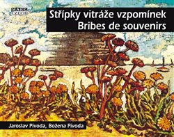 Střípky vitráže vzpomínek - Bribes de Souvenirs koupíte na Kosmas.cz