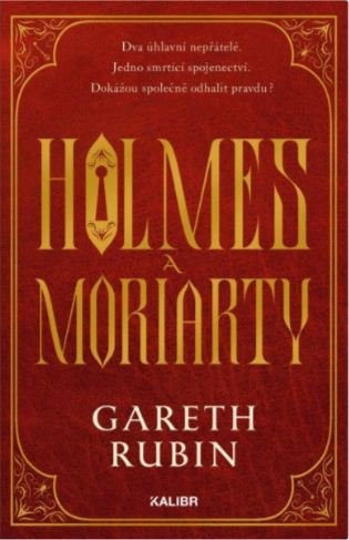 Holmes a Moriarty - Gareth Rubin