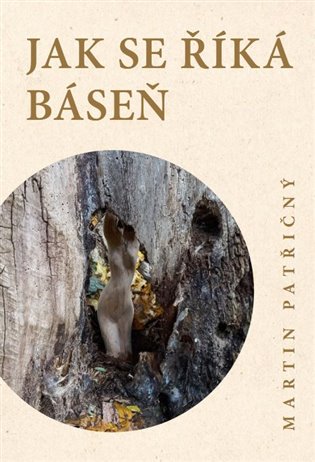 JAK SE ŘÍKÁ BÁSEŇ