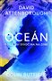 Oceán - Poslední divočina na Zemi